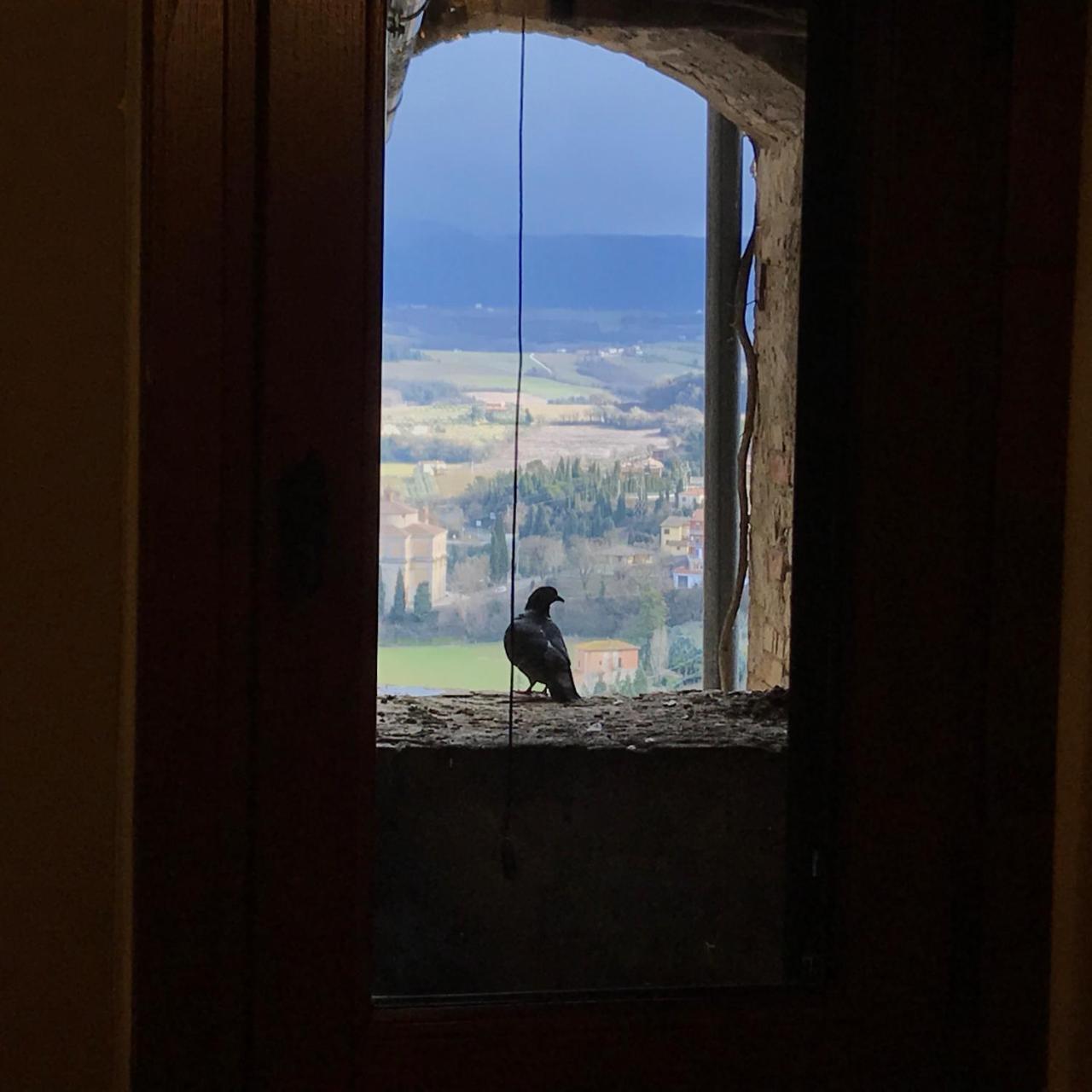Residenza Teatro Antico Hotel Todi Kültér fotó